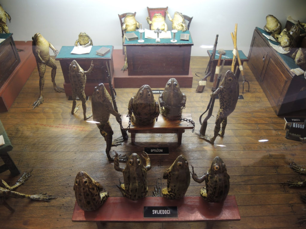 Unusual Things to do in Croatia - Froggyland