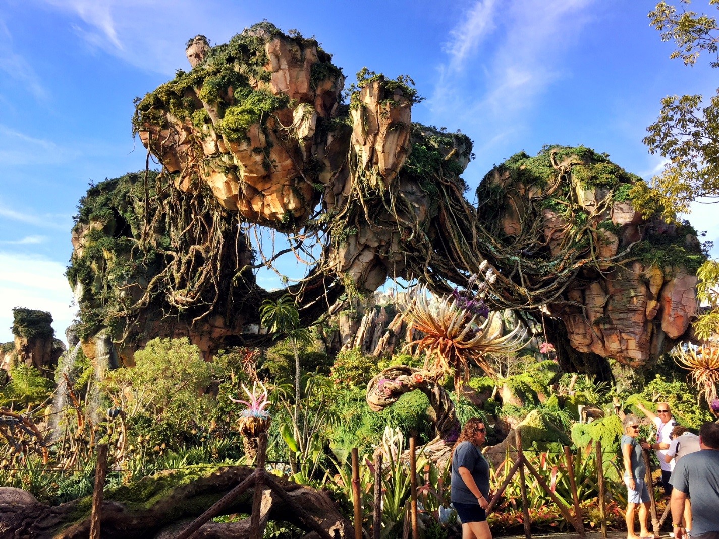 The Top 5 Animal Kingdom Rides Exclusive Private Villas