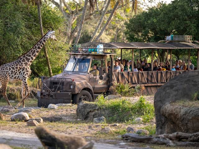 Killamanjaro Safaris at Animal Kingdom