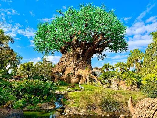 tree of Life at Disneys Animal Kingdom