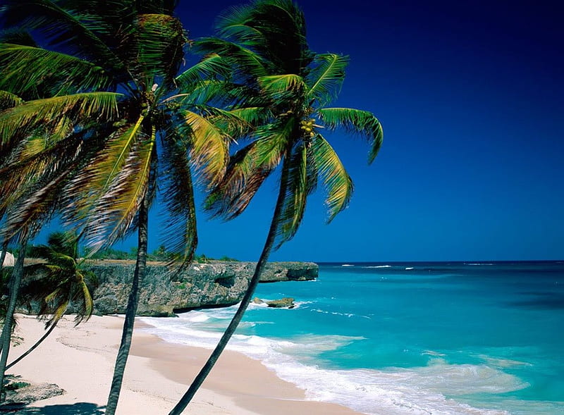 Luxury beach in Barbados with crystal blue water
